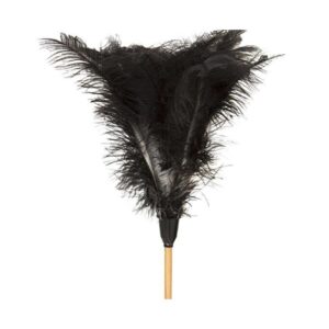 Feather Duster