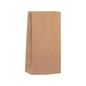 165 x 100 x 340 mm Brown Paper Bag SO 10 - 250 units