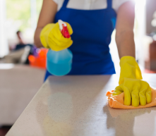 Cleaning Accessories